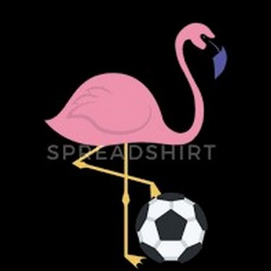 flamingo2.jpg